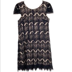 LULUS Lace Illusion Cap Sleeve Black Crochet Tan Lined Fringe Hem Sheath Dress